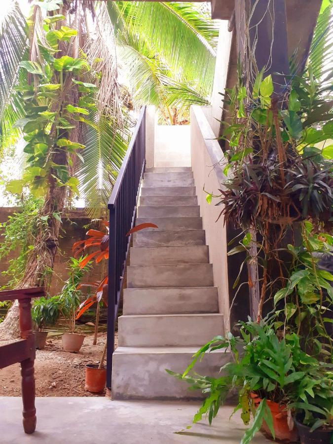Om Villa Hikkaduwa Exteriör bild